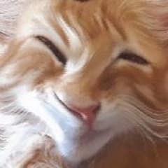 ThE SoNgS ThAt I LiKe 2 - part 2