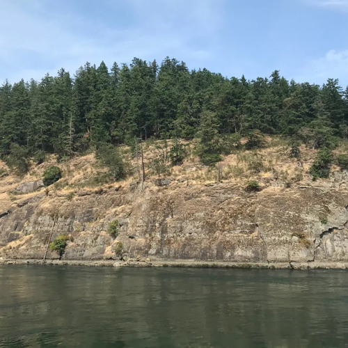 Stream Such A Shame by Road Sign Listen online for free on SoundCloud