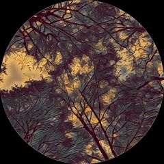 PREMIERE: Caesar - Standard