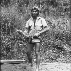 Steve Irwin