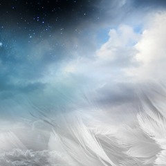 Beyond Limitless ~ Air ~ TreeSisters Full Moon November 2020