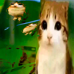 ابتسامة واسعة (: ツ ◡̈ •‿•   •ᴗ•  .‿. ¨̮ シ :)
