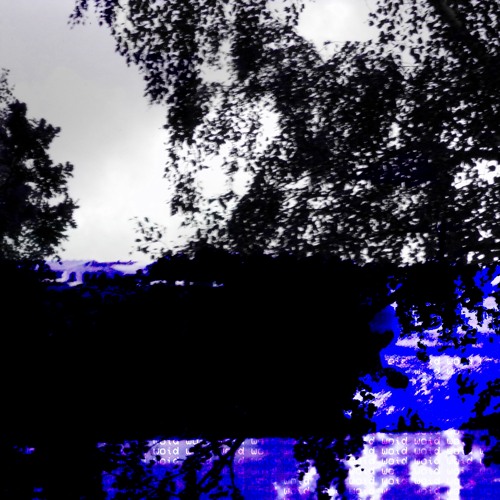 vlowoid