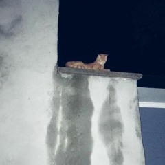 11.10 [lofi beattape]