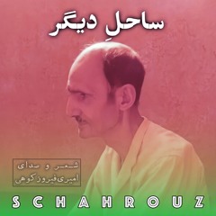 سید کریم امیری فیروزکوهی | ساحلِ دیگر