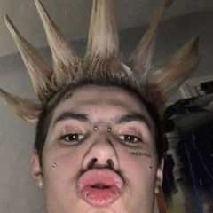 FUCK SHIT UP NASCAR ALOE REMIX