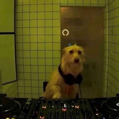 Tekk Tracks