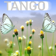 Tango but it's LoFi