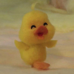 the duck - cover by shar