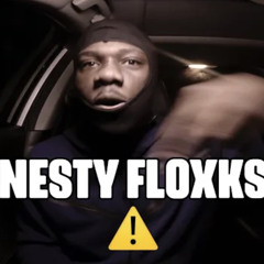 Nesty Floxks - Hazard Lights