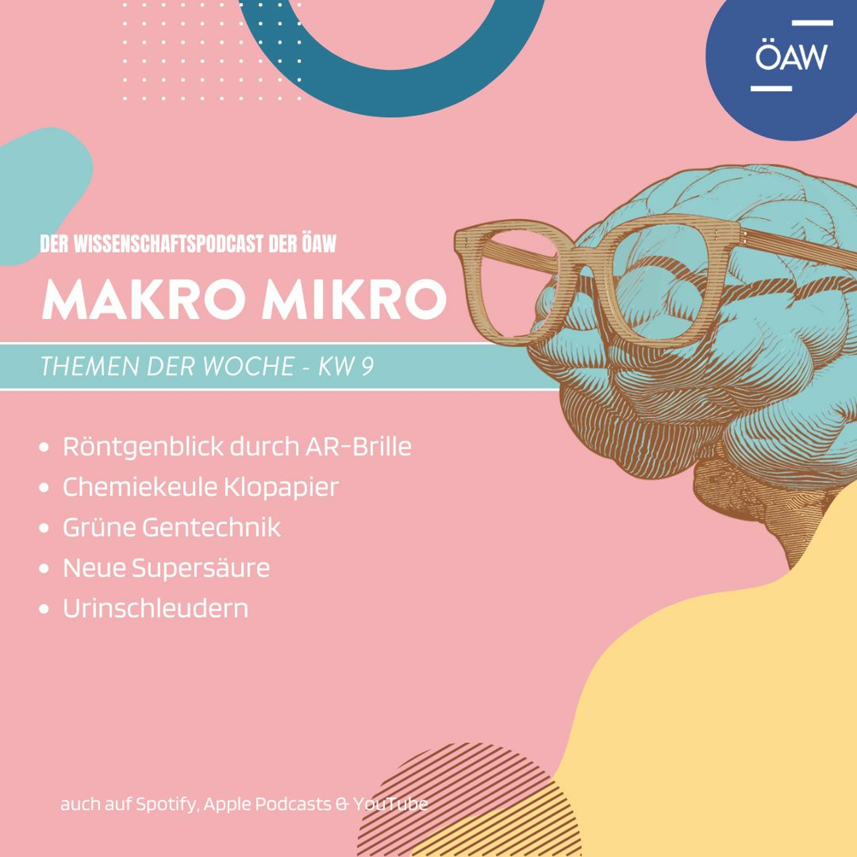 Makro Mikro