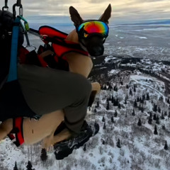 almost winter samples 1/2