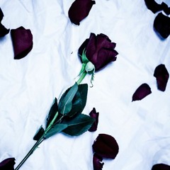 missing you.. (prod. rinne)