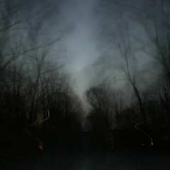 whispers through the dark (prod. by metlast)