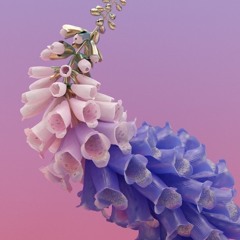 Flume - Never Be Like You (Dj Mb95 Remix)