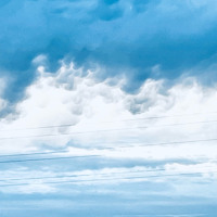 Trails And Ways - Young