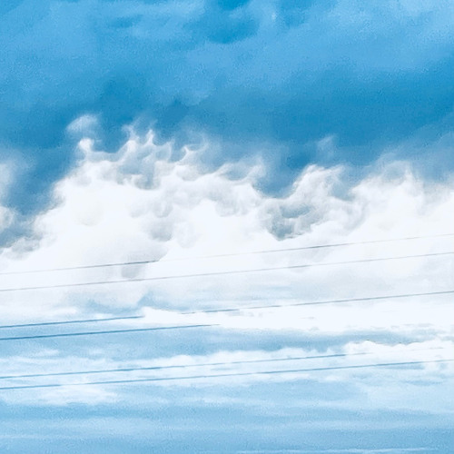 Trails And Ways - Young