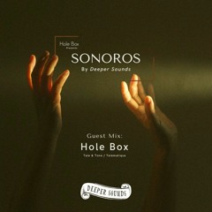 Hole Box Presents Sonoros : Episode 1 - January 2021