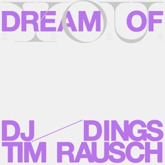 Schiller - Dream Of You (DJ Dings & Tim Rausch Rework)