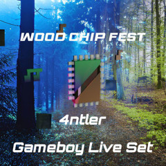 Wood Chip '25 - Gameboy Live Set