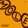 PREMIERE: Jim Naposhto - It's So Funky [Mole Music]