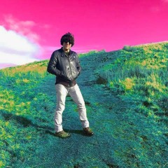 Wild Sanctuary (18/06/2021)