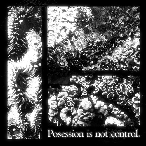 Redem - Posession is not control. (Free Download)