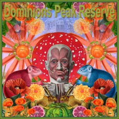 Reincarnation Blues