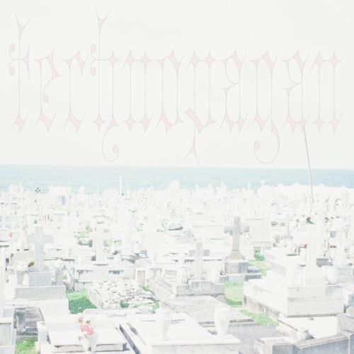 g3ff7n15417 (ritchrd's flip)