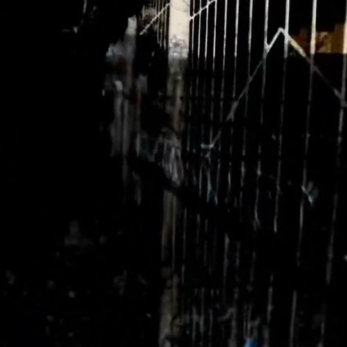 GP5 // pr0duc3d by axidrain