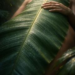 New Culture 'Silent Day' Ecstatic Dance Set (90 min)