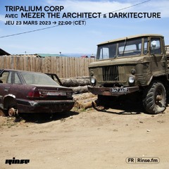 TRIPALIUM CORP avec MEZER THE ARCHITECT & DARKITECTURE - 23 Mars 2023