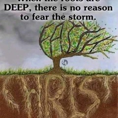 Kich Aramas-(COVER)Marlyn