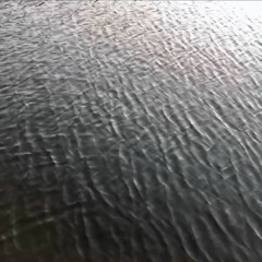 0 (Demo)