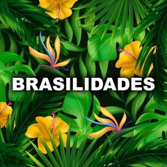 DJG2 BRASILIDADES - VOL - 01