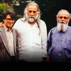 موسیقی ایران از گل‌ها تا انقلاب ۵۷، بخش چهارم