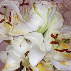 Untitled 2 (12:48am)