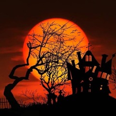 Hallowen Sunset @psyboutique