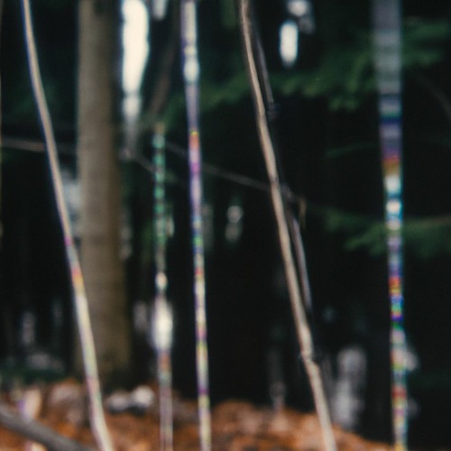 shadows (anima + fayt)