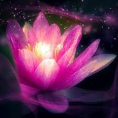 Divine Healing Embrace Launch March 17th 2020 Audio