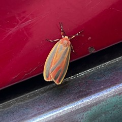 Sometimes Mostly Wrong