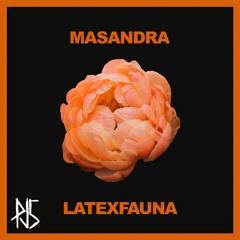 LATEXFAUNA - MASANDRA [PJ5 VIP]