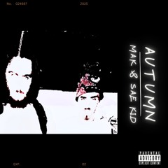 i dont care p. seye.wav