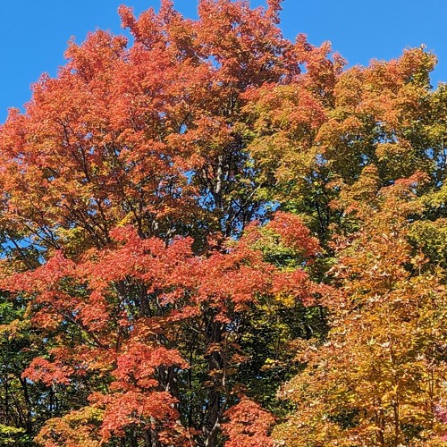 Fall 2023 Mix