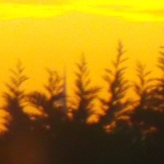 Hang Drum Dnb Demo 3