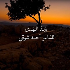 وُلِـدَ الـهُـدى فَـالكائِناتُ ضِياءُ