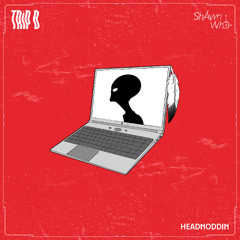 TRiP B X SHAWN WHO - HEADNODDIN