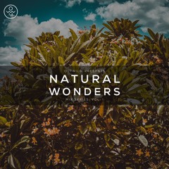 Natural Wonders Vol. I