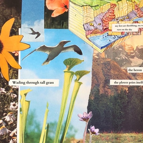 Courage and Crime (acoustic)