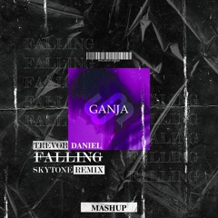 Trevor Daniel vs. Skytone vs. Evocky - Falling vs. Ganja (Sway Mashup)